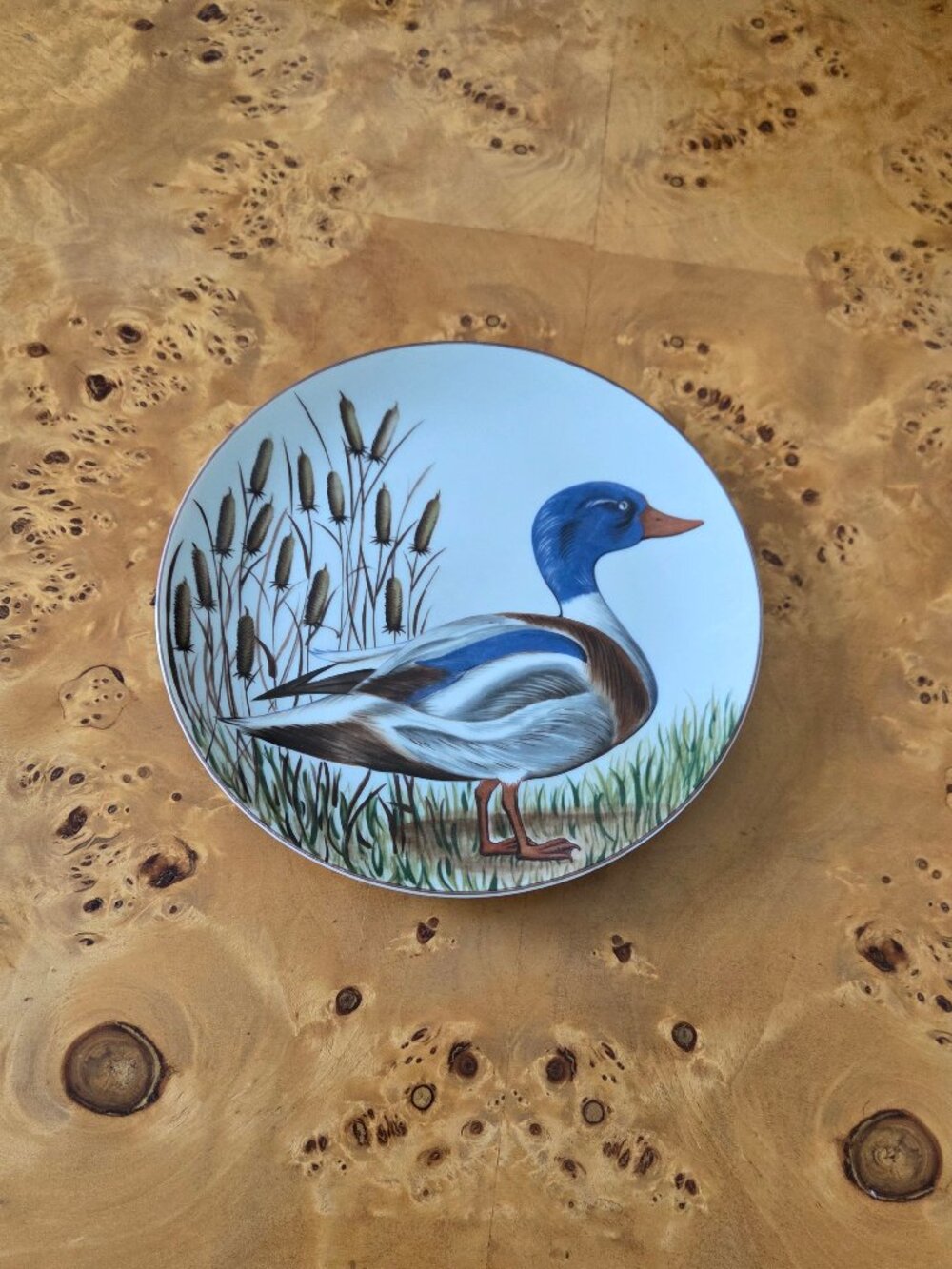 Vintage Sigma Tastemaker Porcelain Plate – "Ducks" by Nancie Goldstein